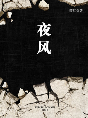 cover image of 夜风